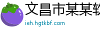 文昌市某某软件科技教育中心