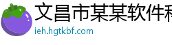 文昌市某某软件科技教育中心